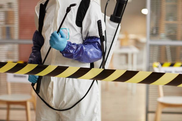 Professional Sewage Cleanup technician working in Farmington, CA
